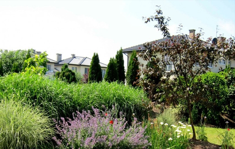 widok domku seniora wśród zieleni ogrodu